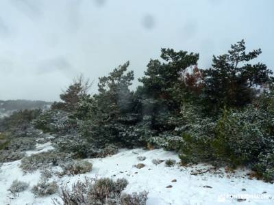 Cerro Perdiguera-Cuerda Vaqueriza; actividades sierra madrid dibujos de senderismo ecoparque cercedi